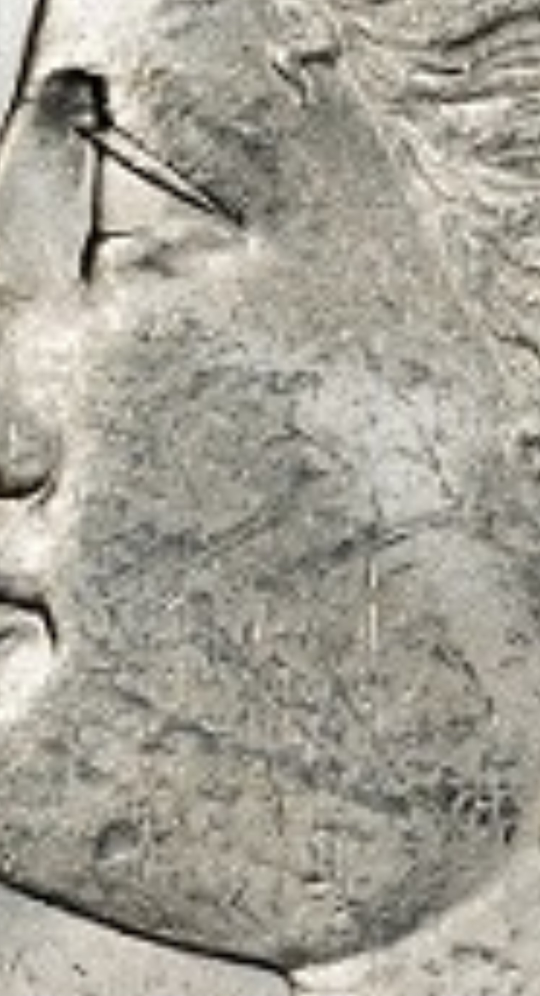 Opinions-On-Recent-Grade-Received-From-PCGS